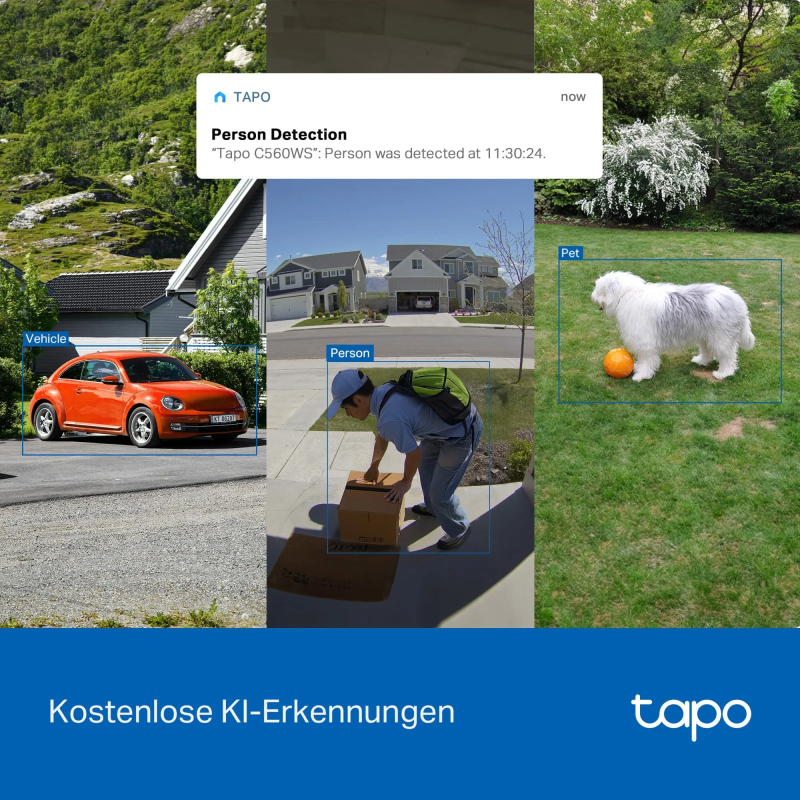 Vorschaubild 5