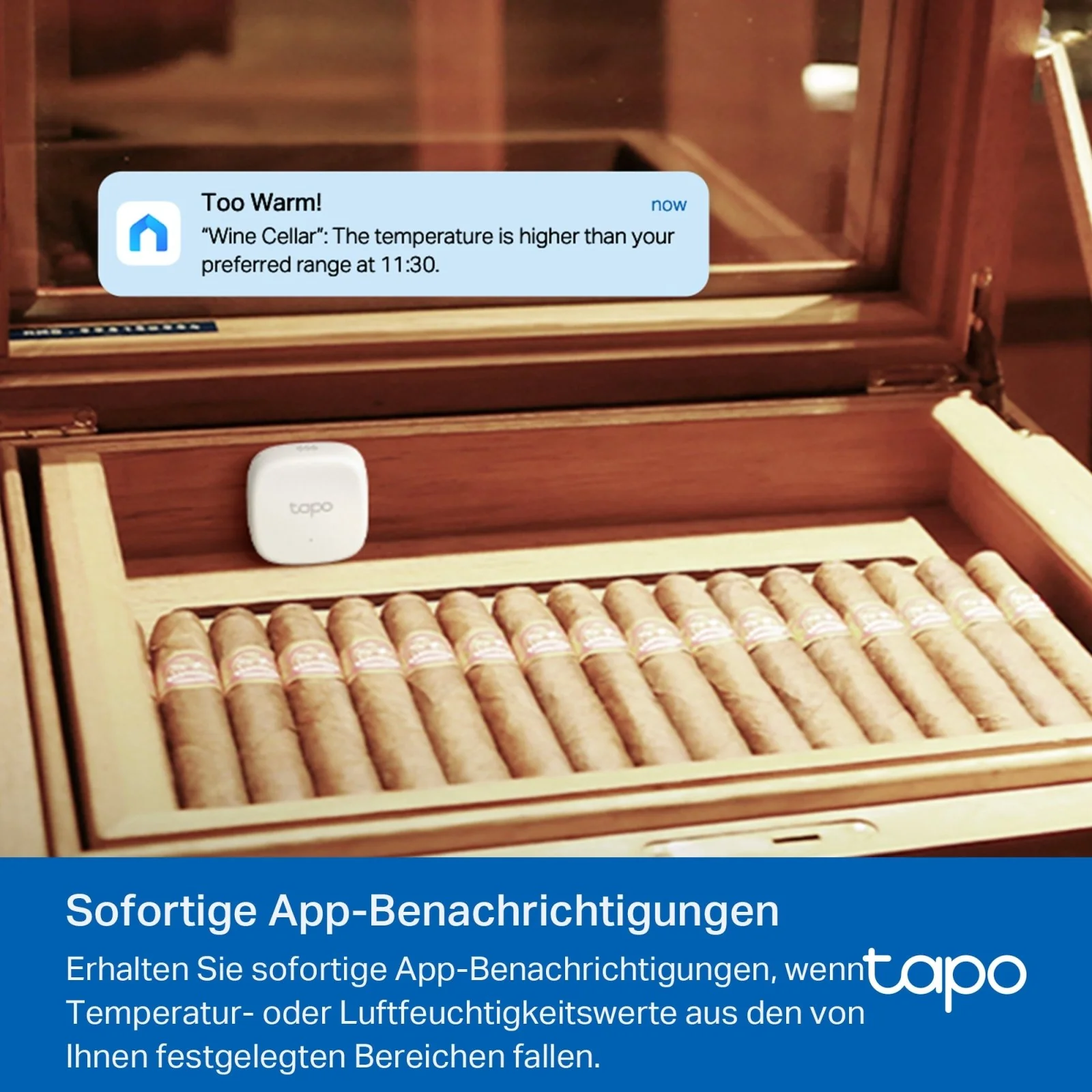 Vorschaubild 5